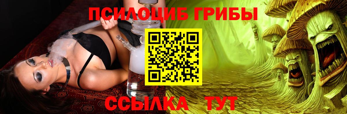 Люберцы  наркота  Вход с VPN  Псилоцибиновые грибы Psilocybine cubensis 