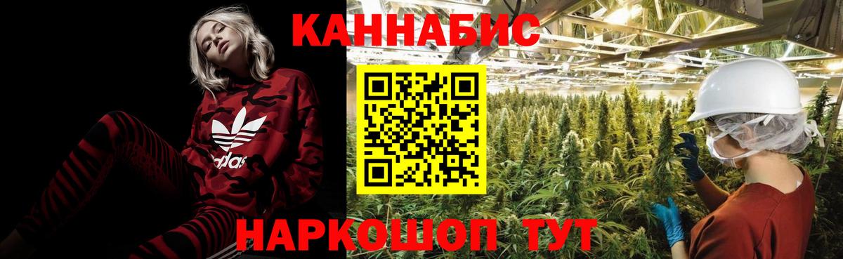 Конопля VHQ  Бошки Шишки планчик  Конопля конопля  Вход с VPN  Люберцы  МАРИХУАНА марихуана 